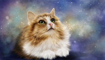 Картинка рисованное животные +коты взгляд кот кошка фон рендеринг котэ