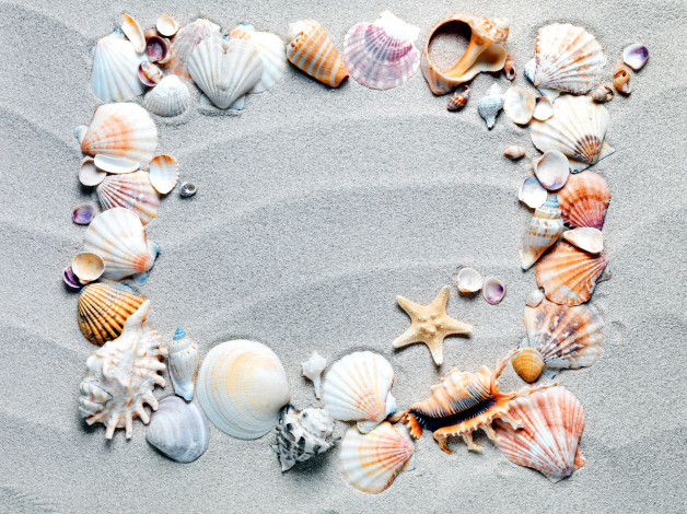 Обои картинки фото разное, ракушки,  кораллы,  декоративные и spa-камни, много, песок