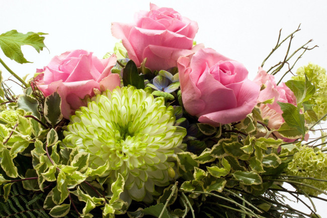 Обои картинки фото цветы, букеты,  композиции, розы, хризантема