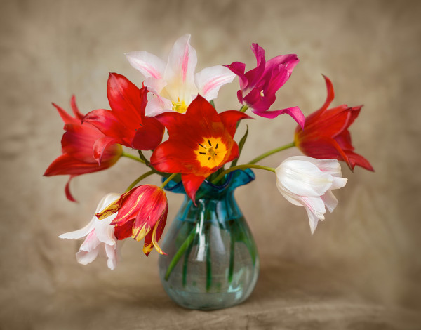 Обои картинки фото цветы, тюльпаны, букет, ваза