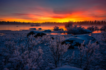 Картинка природа восходы закаты зима снег закат озеро швеция кусты sweden lapland arjeplog лаппланд арьеплуг lake hornavan хурнаван