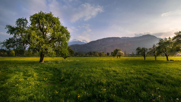 Картинка природа пейзажи весенний горный пейзаж из кальтбрунн швейцария