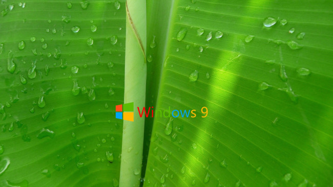 Обои картинки фото компьютеры, windows 9, фон, логотип