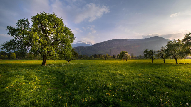Обои картинки фото природа, пейзажи, весенний, горный, пейзаж, из, кальтбрунн, швейцария