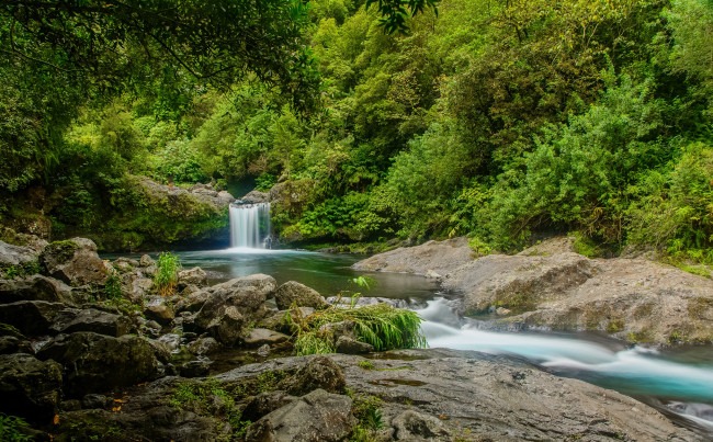 Обои картинки фото природа, водопады, зелень, лес, деревья, ручей, камни, франция, водопад, reunion