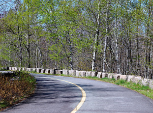 Картинка природа дороги дорога шоссе