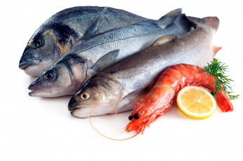 Картинка еда рыба +морепродукты +суши +роллы свежая креветки лимон
