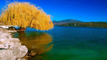 Картинка природа реки озера камни река дерево