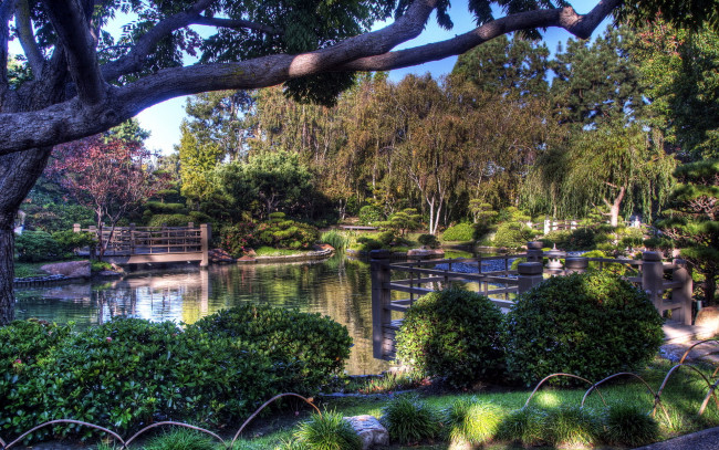 Обои картинки фото природа, парк, водоем, мостик, японский, садик