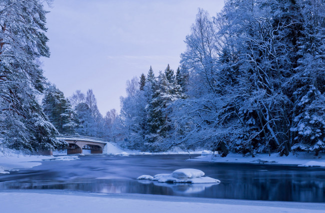 Обои картинки фото природа, реки, озера, деревья, вода, пруд, пейзаж, парк, зима, мостик, снег