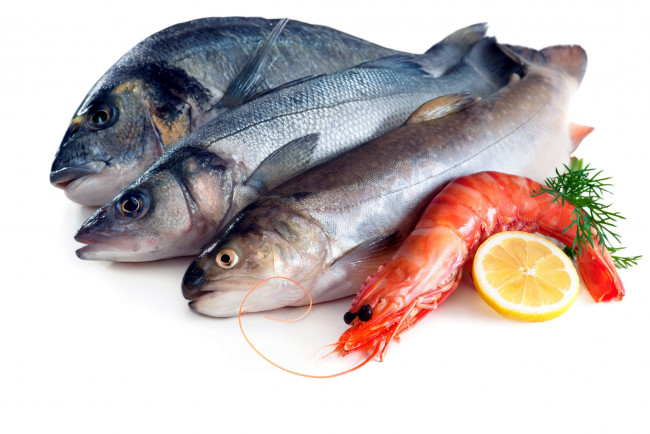 Обои картинки фото еда, рыба,  морепродукты,  суши,  роллы, свежая, креветки, лимон