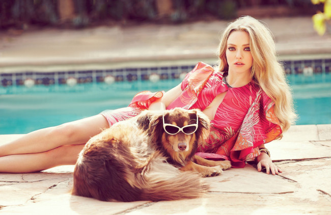 Обои картинки фото девушки, amanda seyfried, очки, собака, бассейн, блондинка, актриса