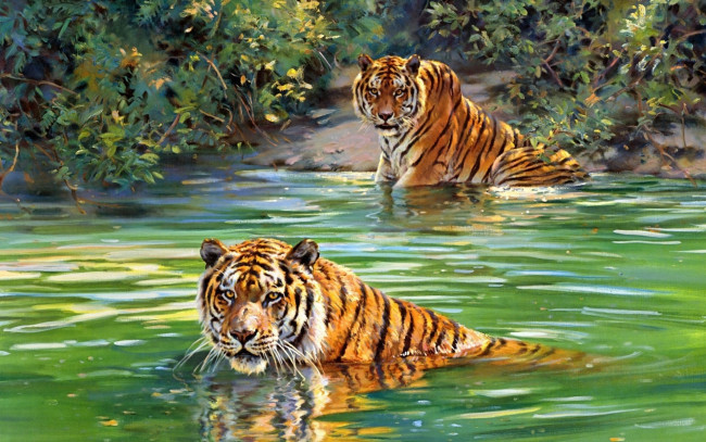 Обои картинки фото рисованное, donald grant, тигры, озеро