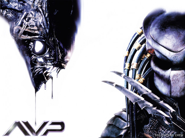 Обои картинки фото кино, фильмы, alien, vs, predator