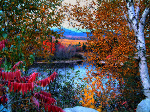 Картинка природа реки озера деревья осень река