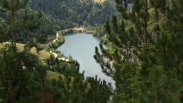 Картинка природа реки озера панорама озеро деревья