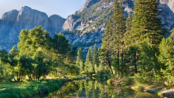 Картинка природа реки озера растительность горы деревья отражение на воде