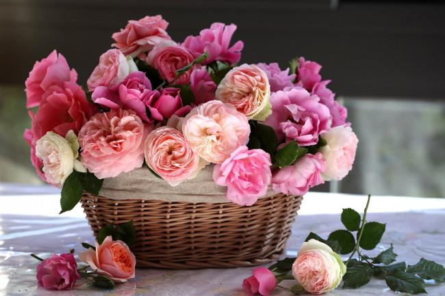 Обои картинки фото цветы, розы, корзинка