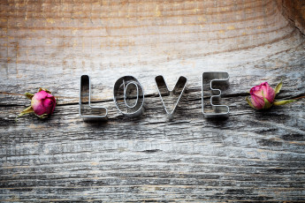 Картинка праздничные день св валентина сердечки любовь love надпись буквы розы сухие дерево