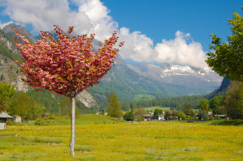 Картинка природа деревья горы луг деревня пейзаж