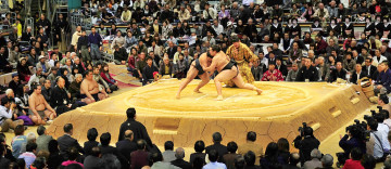 Картинка спорт другое борьба сумо