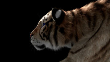 Картинка 3д+графика животные+ animals тигр