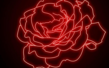 Картинка рисованные цветы роза