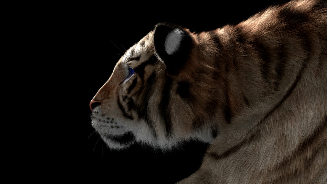 Обои картинки фото 3д графика, животные , animals, тигр