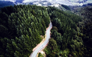 Картинка природа дороги панорама дорога серпантин лес