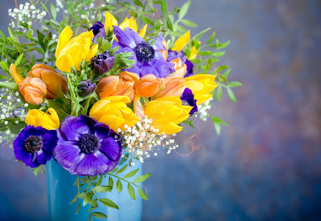 Обои картинки фото цветы, букеты,  композиции, бутоны, анемоны, тюльпаны