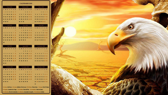 Обои картинки фото календари, рисованные,  векторная графика, птица, профиль, голова, орел, пустыня
