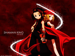 Картинка аниме shaman king