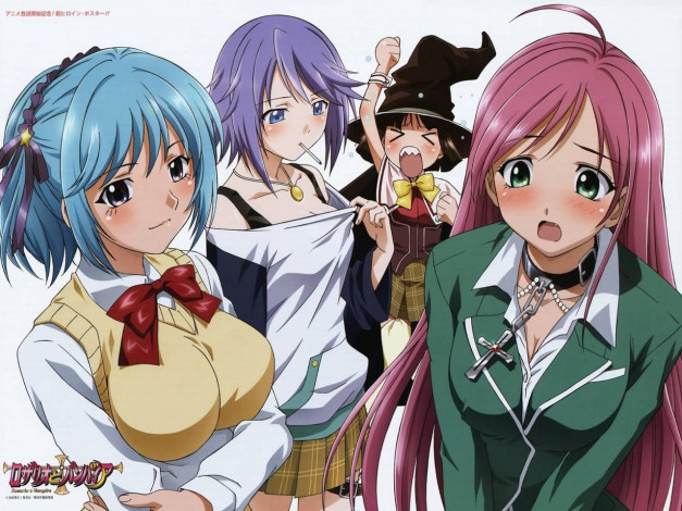 Обои картинки фото аниме, rosario, vampire