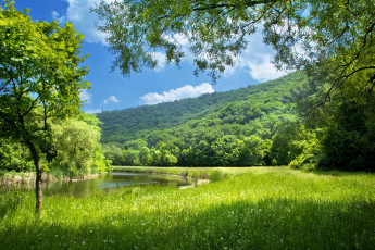 Картинка природа пейзажи деревья трава горы река лето пейзаж