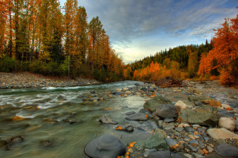 Картинка природа реки озера камни поток лес река осень аляска