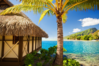 Картинка природа тропики beach paradise море пляж vacation summer sunshine ocean хижина пальмы sea palms tropical