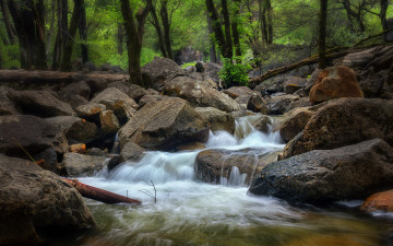 Картинка природа реки озера поток камни ручей лес