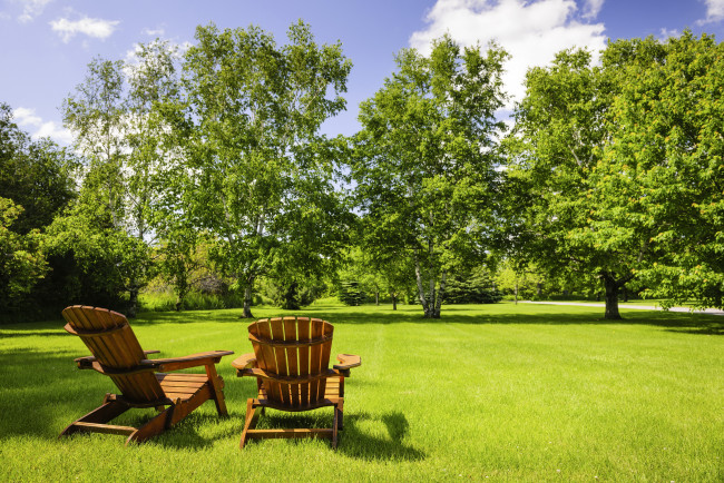 Обои картинки фото природа, парк, кресло, деревья, трава, лето