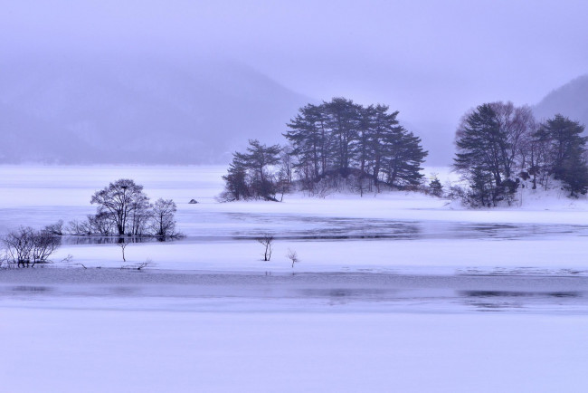 Обои картинки фото природа, зима, кусты, деревья, озеро, лед, снег
