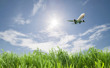 обоя авиация, авиационный пейзаж, креатив, небо, зелень, трава, поле, взлет, полет, самолет, облака, солнце