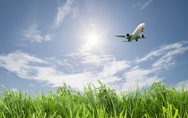 Обои картинки фото авиация, авиационный пейзаж, креатив, небо, зелень, трава, поле, взлет, полет, самолет, облака, солнце