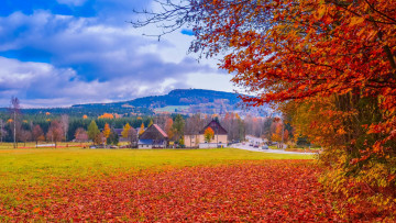Картинка города -+пейзажи деревья дома осень