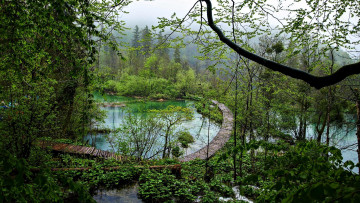 Картинка природа парк озеро мостик лес