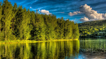 Картинка природа реки озера пейзаж деревья водоём озеро