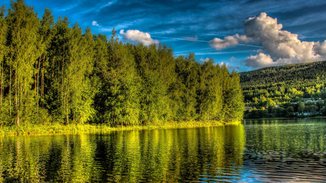 Обои картинки фото природа, реки, озера, пейзаж, деревья, водоём, озеро