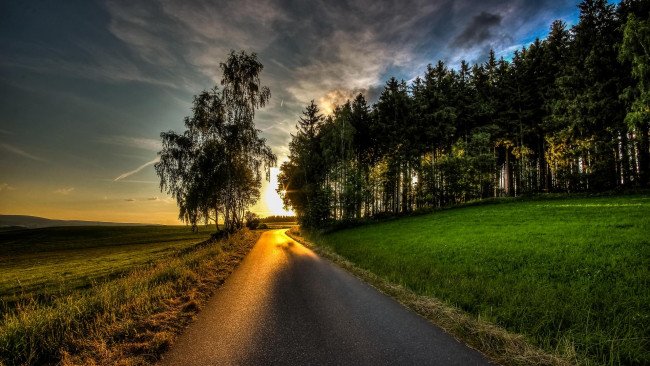 Обои картинки фото природа, восходы, закаты, пейзаж, деревья, дорога, поле