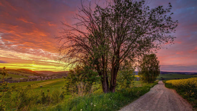 Обои картинки фото природа, восходы, закаты, пейзаж, деревья, дорога, поле