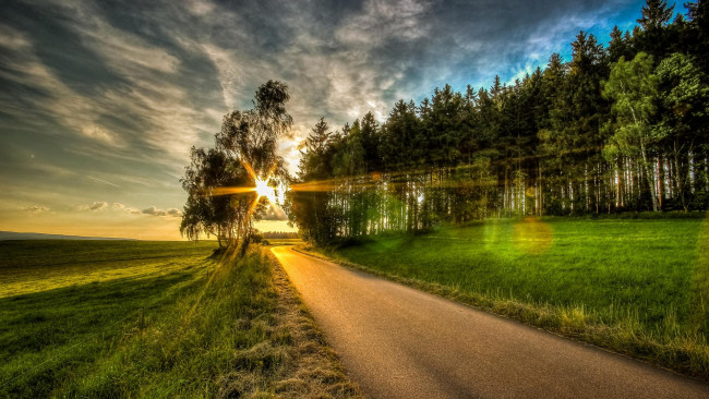 Обои картинки фото природа, восходы, закаты, поле, пейзаж, деревья, дорога