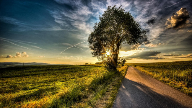 Обои картинки фото природа, восходы, закаты, поле, пейзаж, деревья, дорога
