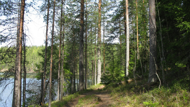 Весна в карелии картинки